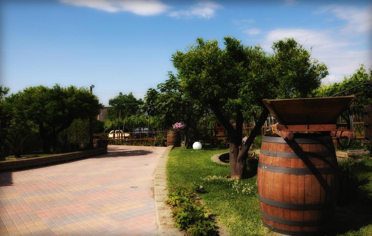 B&B Casa di Donna Trecase Bagian luar foto