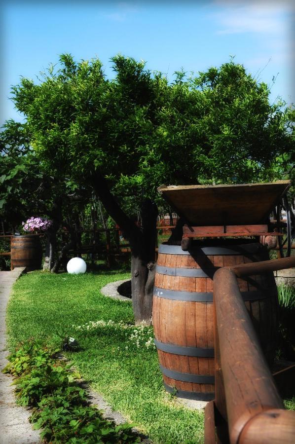 B&B Casa di Donna Trecase Bagian luar foto